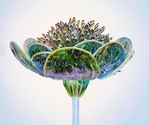 virtual machines