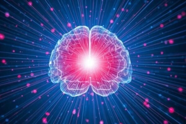 The Brain as a Living Network of Seeds and Cores