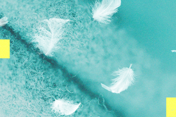 Should You Get Down or Down Alternative Bedding? It Depends