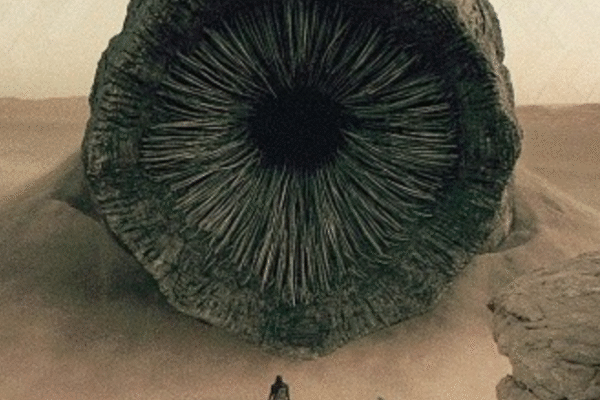 Self-Replicating Worm Hits 180+ Software Packages