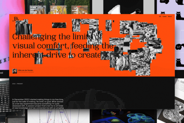 The Making of a Personal Project Platform: A Portfolio that Grew out of Process and Play