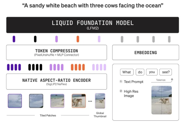 Liquid AI's LFM2-VL-3B Brings a 3B Parameter Vision Language Model (VLM) to Edge-Class Devices