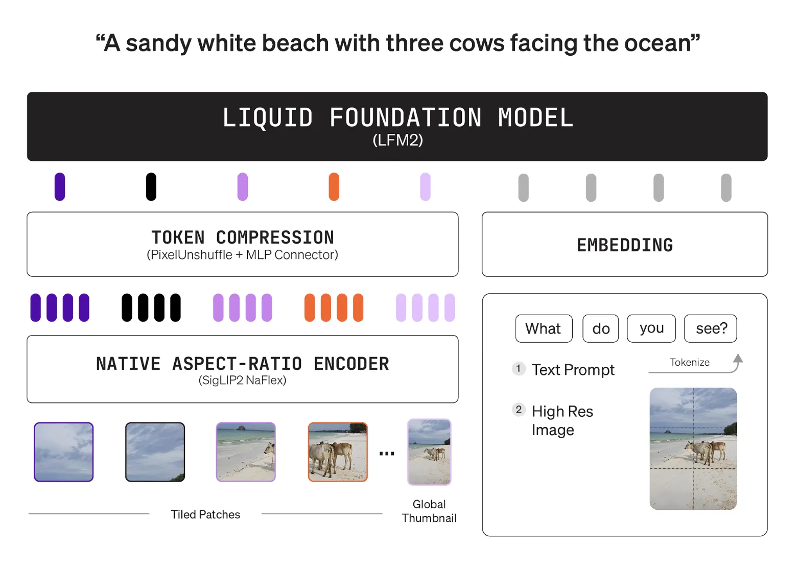 Liquid AI's LFM2-VL-3B Brings a 3B Parameter Vision Language Model (VLM) to Edge-Class Devices