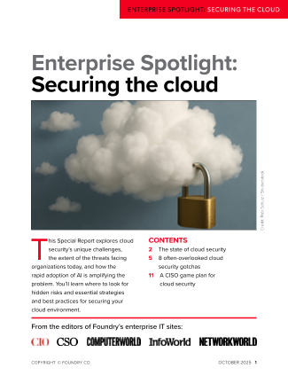 Securing the cloud