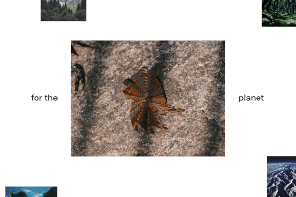 Building a Layered Zoom Scroll Effect with GSAP ScrollSmoother and ScrollTrigger