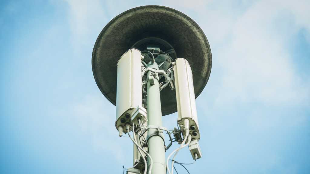 Hackerangriff löst Fehlalarm in Halle aus