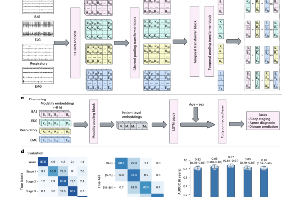 Stanford Researchers Build SleepFM Clinical: A Multimodal Sleep Foundation AI Model for 130+ Disease Prediction