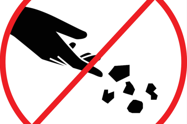 Please Don’t Feed the Scattered Lapsus ShinyHunters