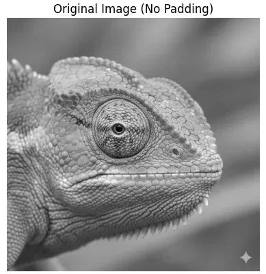 The Statistical Cost of Zero Padding in Convolutional Neural Networks (CNNs)